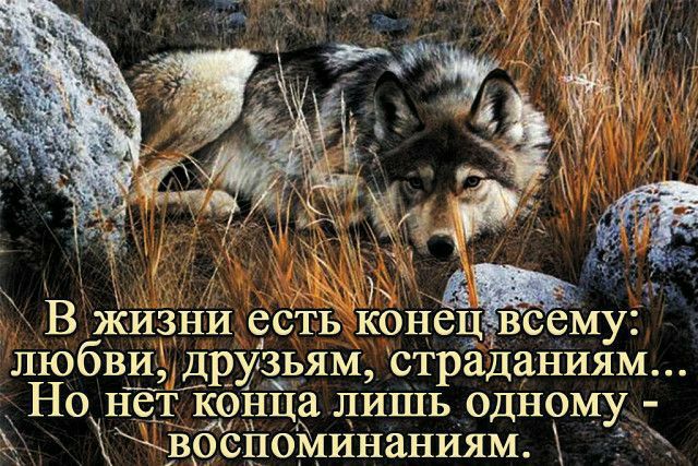 Ё жизни есть коНец всеМу любви1дРузьям страданиям Но нет коііца лишь одному воспоминаниям