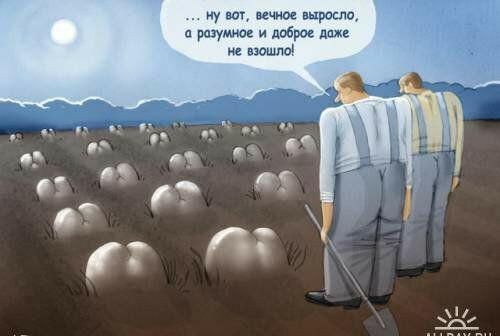 ну ш што дырами разум и двери