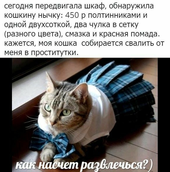 сегодня передвигала шкаф обнаружила кошкину нычку 450 р поптинниками и одной двухсоткой два чупка в сетку разного цвета смазка и красная помада кажется моя кошка собирается свалить от меня в проститутки