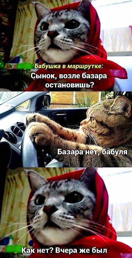 Бабушка в маршрут е Сынок возле базара остановишь Кдк нет Вчера же был