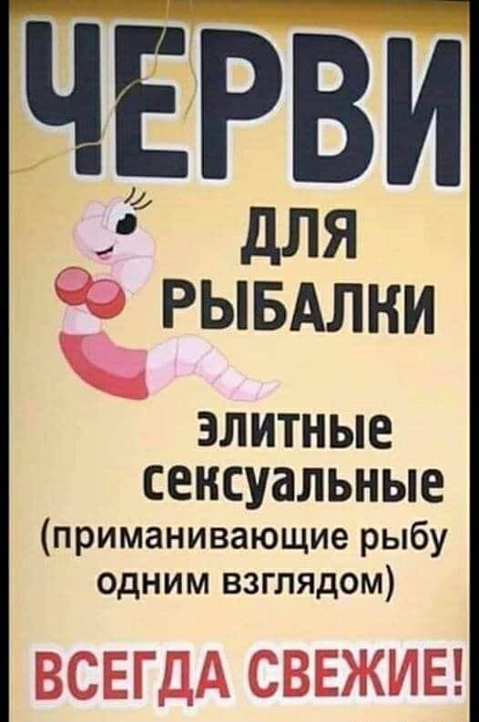 элитные сексуальные приманивающие рыбу одним взглядом ц пвд