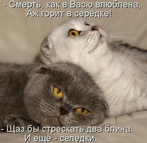 11 ч 53 к ш Сша ль как а вало Аж горит в серёдкэ