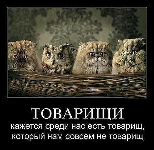 ТОВАРИЩИ кажетсярреди нас есть товарищ КОТОРЫЙ нам совсем не товарищ