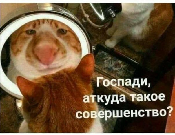 аткзъакое сотршенство