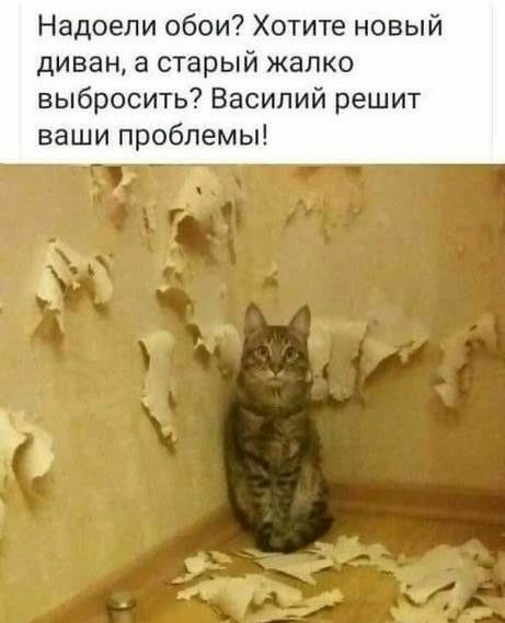Надоели обои Хотите новый диван в старый жалко выбросить Василий решит ваши проблемы
