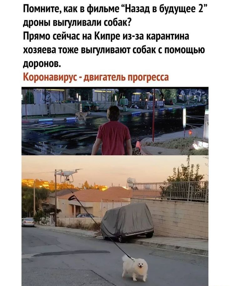 Помните как в фильме Назад в будущее 2 дроны выгуливали собак Прямо сейчас на Кипре из за карантина хозяева тоже выгуливают собак с помощью доронов Коронавирус двигатель прогресса