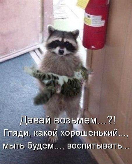 Давай выйдет Гляди какой хор шенький мыть будем воспитывать