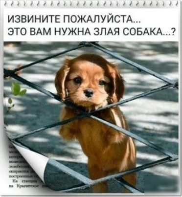 ИЗВИНИТЕ ПОЖАЛУЙСТА ЭТО ВАМ НУЖНА ЗЛАЯ СОБАКА