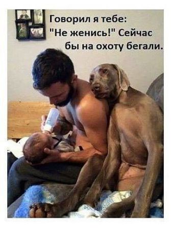 Говорил я тебе Не женись Сейчас бы на охоту бегали
