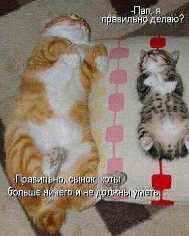 Пап іі и ьно делаю