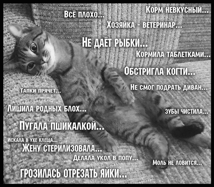 ЕБкуснъі