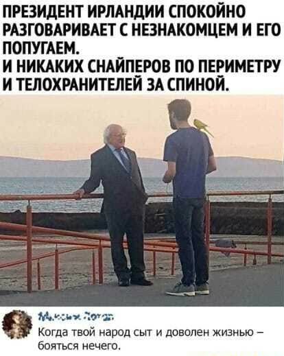 ПРЕЗИДЕНТ ИРЛАНДИИ СПОКОЙНО РАЗГОВАРИВАЕТ С НЕЗНАКОМЦЕМ И ЕГО ПОПУГАЕМ И НИКАКИХ СНАЙПЕРОВ ПО ПЕРИМЕТРУ И ТШОХРАНИТЕЛЕИ ЗА СПИНОИ Нч ъ дт Когда твой народ сыт и доволен жизнью боиться мечет