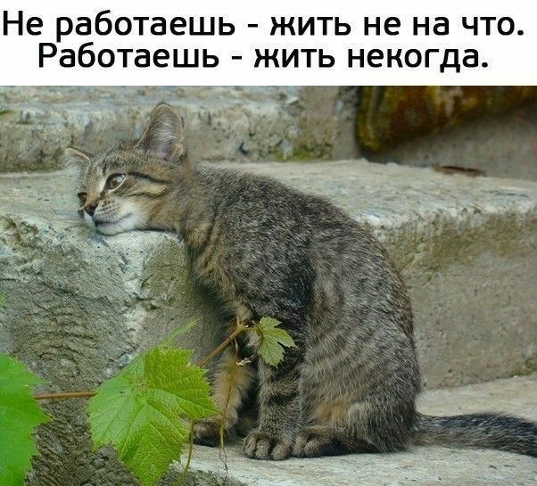 Не работаешь жить не на что Работаешь жить некогда _