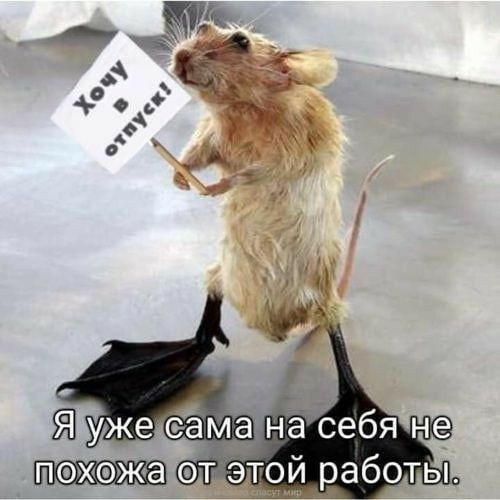 пэхэж а т этой работы