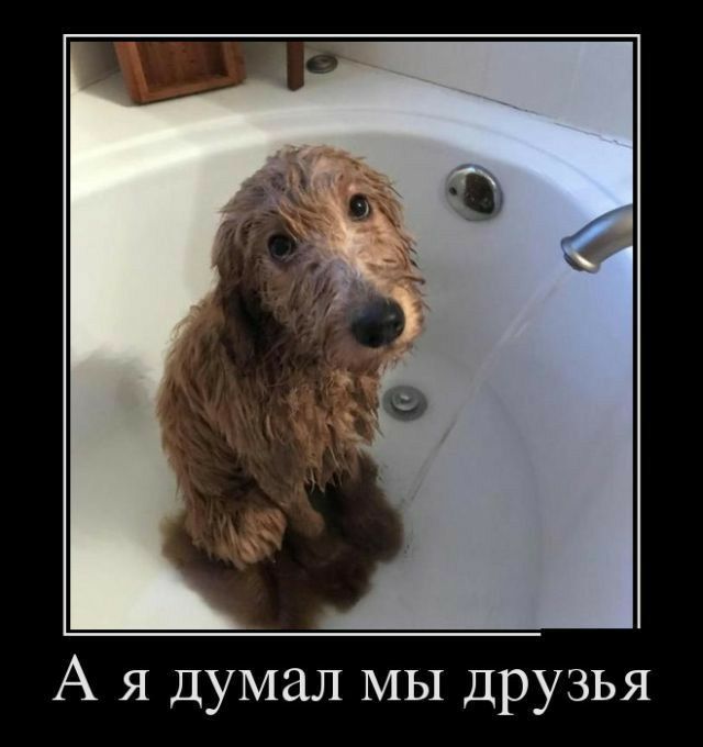 А я думал МЫ друзья