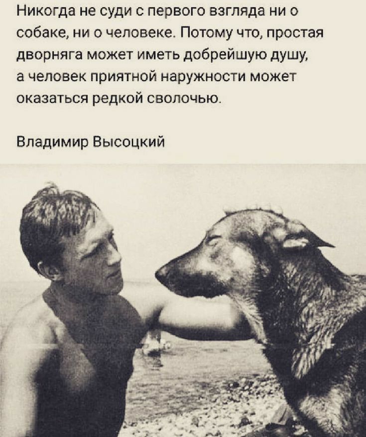 Никогда не суди с первого взгляда ни о собаке ни о человеке Потему что простая дворняга может иметь добрейшую душу а человек приятной наружности может оказаться редкой сволочью Владимир Высоцкий