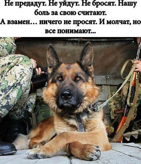 с предадут е уйдут е рост Тшу боль за свою считают взамен ничего не просят И молчат Нч все понимают