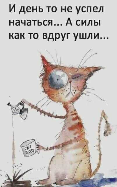 И день ТО не УСПЕЛ НЗЧЗТЬСЯ А СИЛЫ как то вдруг ушли