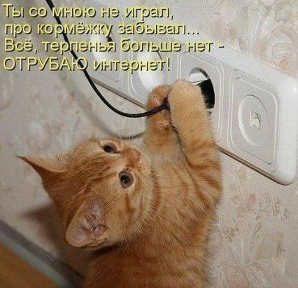 л ья бш ша нэт интернгг
