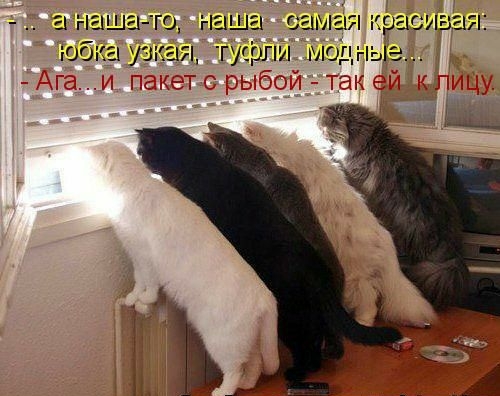 а наш го юбка узкая