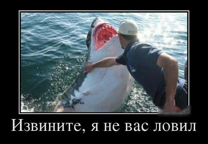 Извините я не вас ловил