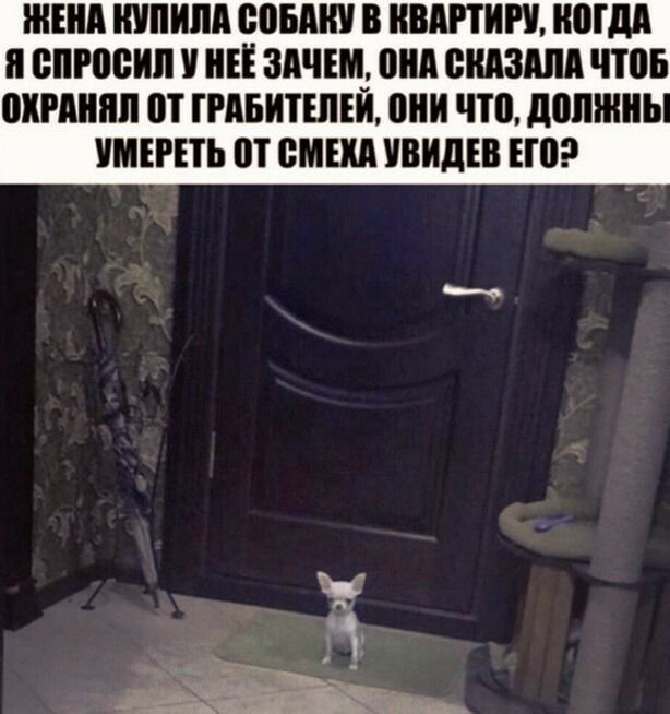 Шінд ИШИМ ЧЮИ В КВАРТИРУ ШШШ я БПРВБИП НЕЁ ЗПЧШ они ВИЗЫ ЧШБ МРМ П ГРАБИТШЕЙ они что ШШШ МЕРЕ П ВШМ ивидів ЕП да 7