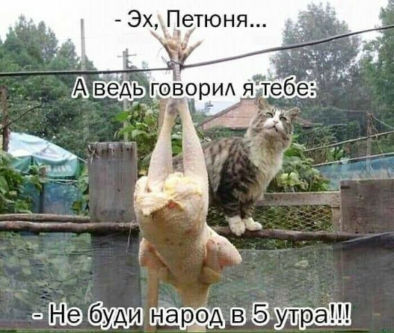 аё