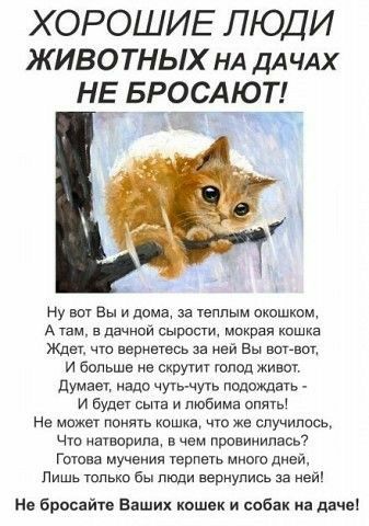 ХОРОШИЕ ЛЮДИ ЖИВОТНЫХ НА ДАЧАХ НЕ БРОСАЮЦ ну вы Вы и дома за теплым окошком А тем в дачнпй сырости мокрая кошка Ждал чта вернетесь за мея Вы вогвощ и больше не скаут тпод живы думаеч апо чугь чуц подождать _ и будет еше и любима сшиты Не может понять кошке что же случились Чт ширине в чем провинилась Готова мучения терм много дней Лишь только бы пюди вернулись за ней ие бросайуе Ваших кошек и соба