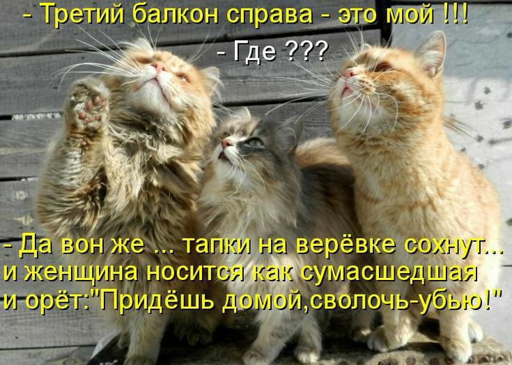 Третий балкон справа этв