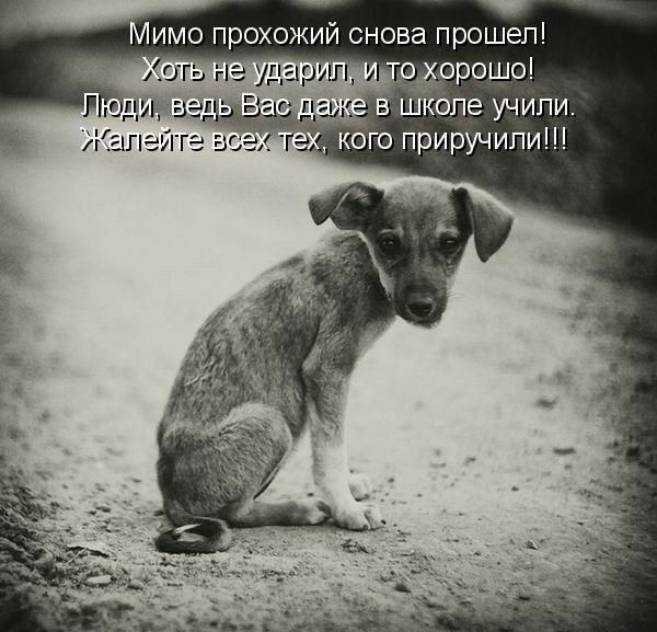 Мимо прохожий снова прошел