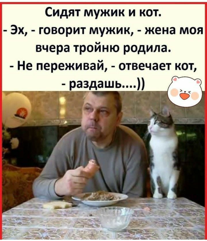 Сидят мужик и кот Эх говорит мужик жена моя вчера тройню родила Не переживай отвечает кот раздашь