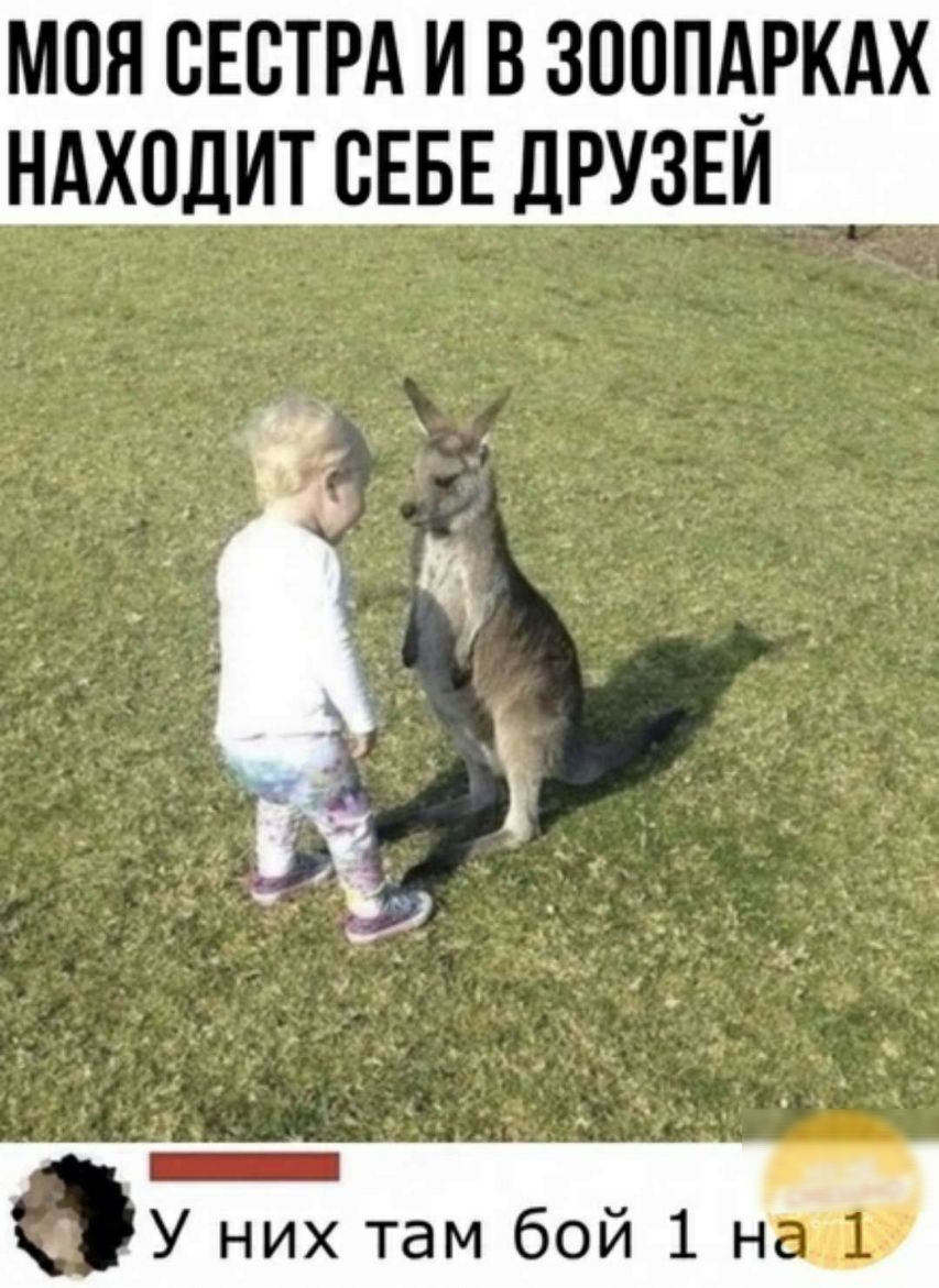 моя свет и в зоопдукдх НАХТОДИСЕБЕДРУЗЕИ У них там бой 1 на 1