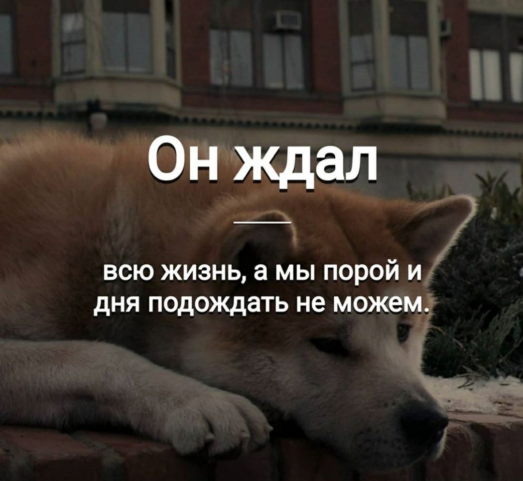 Он ждал всю жизнь а мы порой и дня подождать не можем