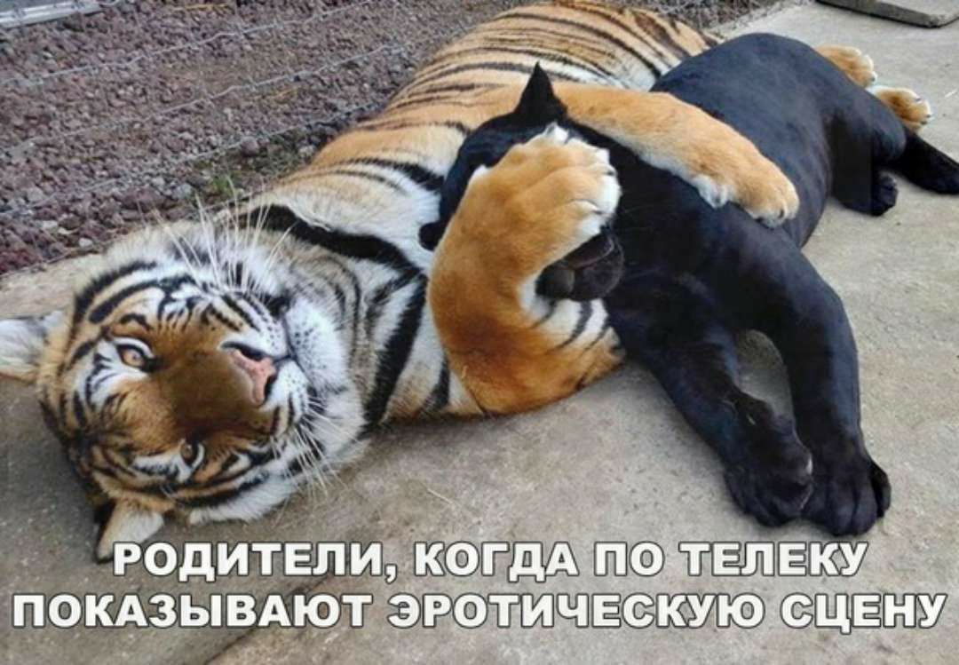 ВАЮТ ЁПЁСЁВЁВЁФ
