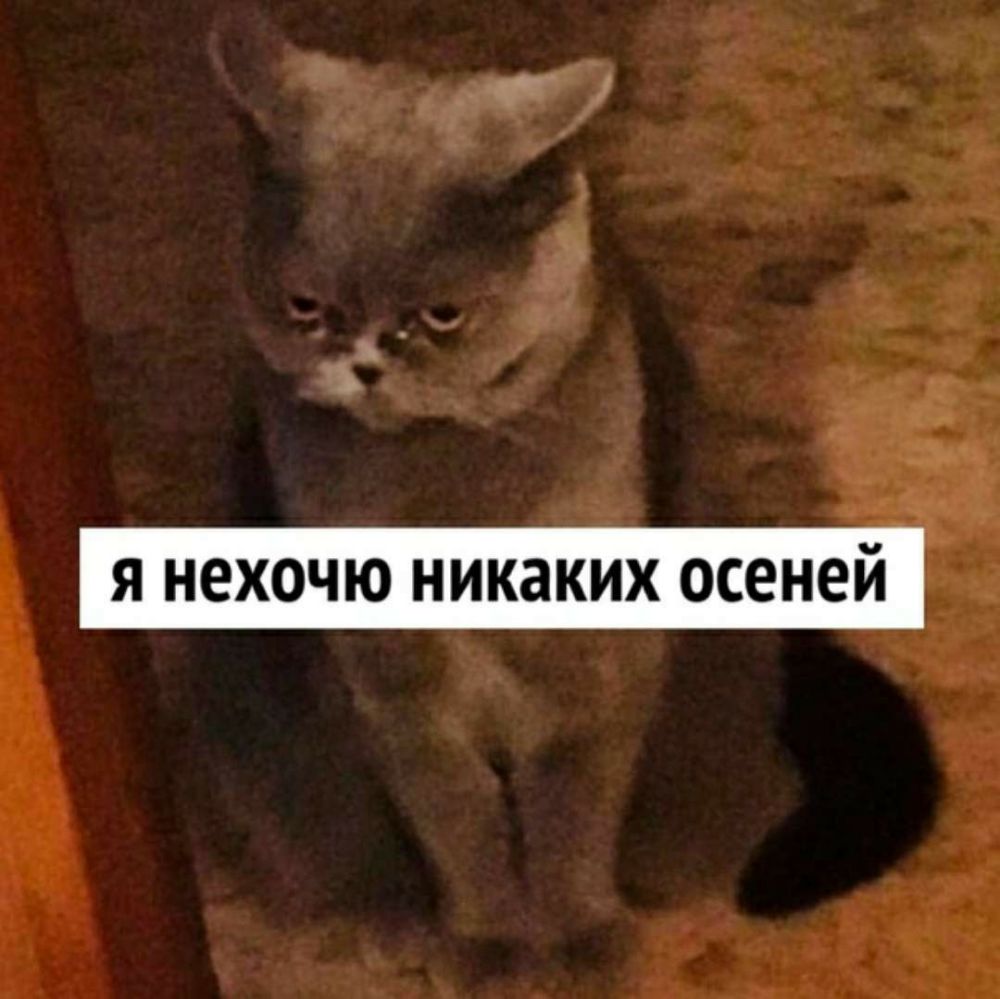 я нехочю никаких осеней