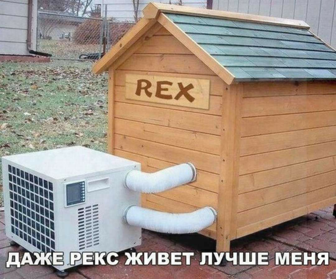 555555 5555555 55535