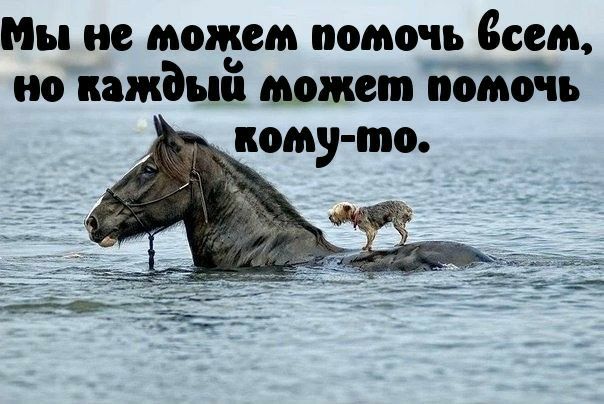 Мы не моисш помо _ всем но кажды может помочь кому то