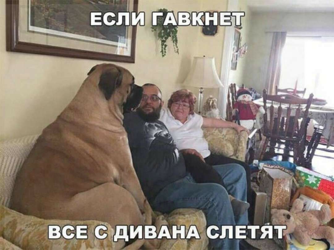 ВСЕ СдИВАНА СЛЕТЯТЫ