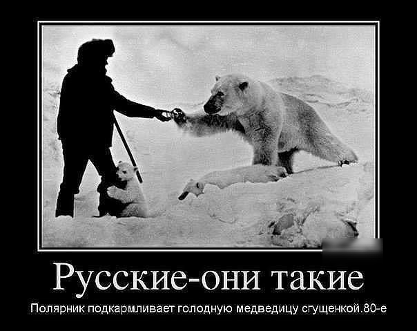 РУССКИСОНИ такие Полярник подкармливает голодную медведицу сгущенкой80 е