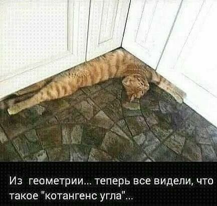 Из геометрии теперь все видели что такое котангенс угла