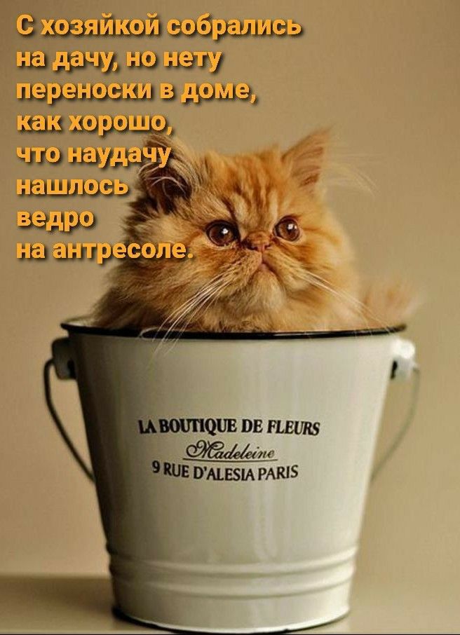 д в югу ш 30513