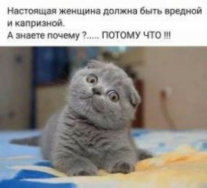 Настоящая женщина дппжив быгь вредной и капризной А знаете почему 7 ПОТОМУ ЧТО