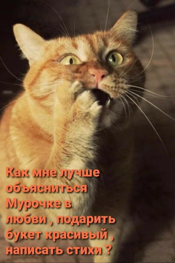 младч вбил нлЪ Ад91