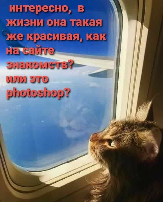 интересно В ЖИЗНИ она такая же красивая как нат