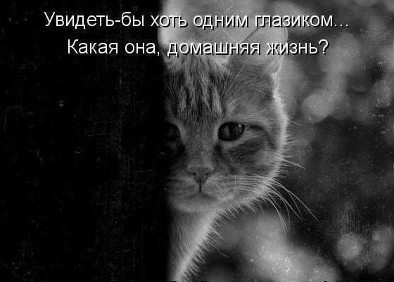 Увидеть бы огь одним гпазивсім Какая она