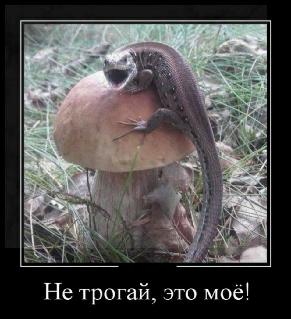Не трогай это моё