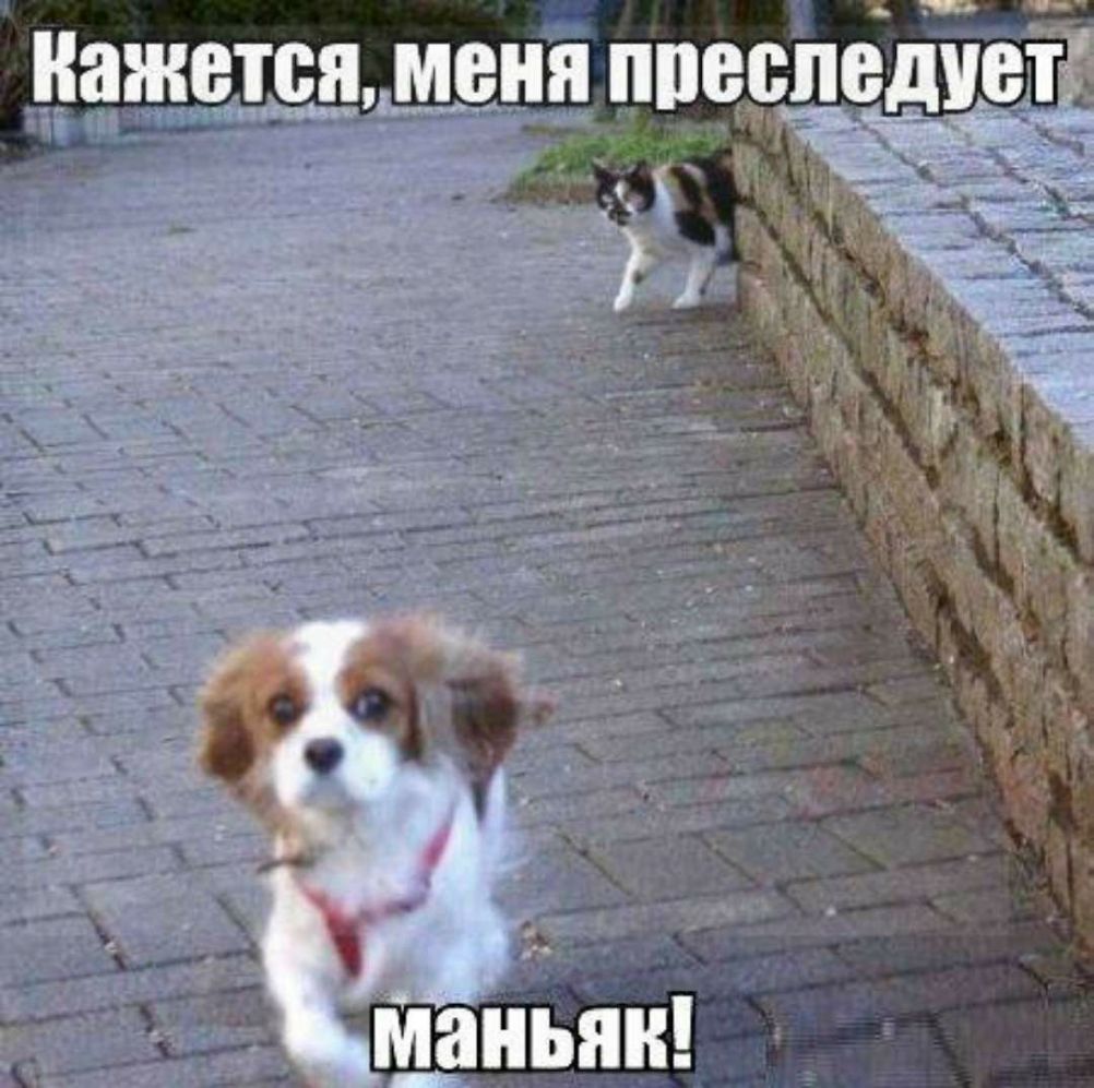 Кажетспня ППВВПВДУВТ пн