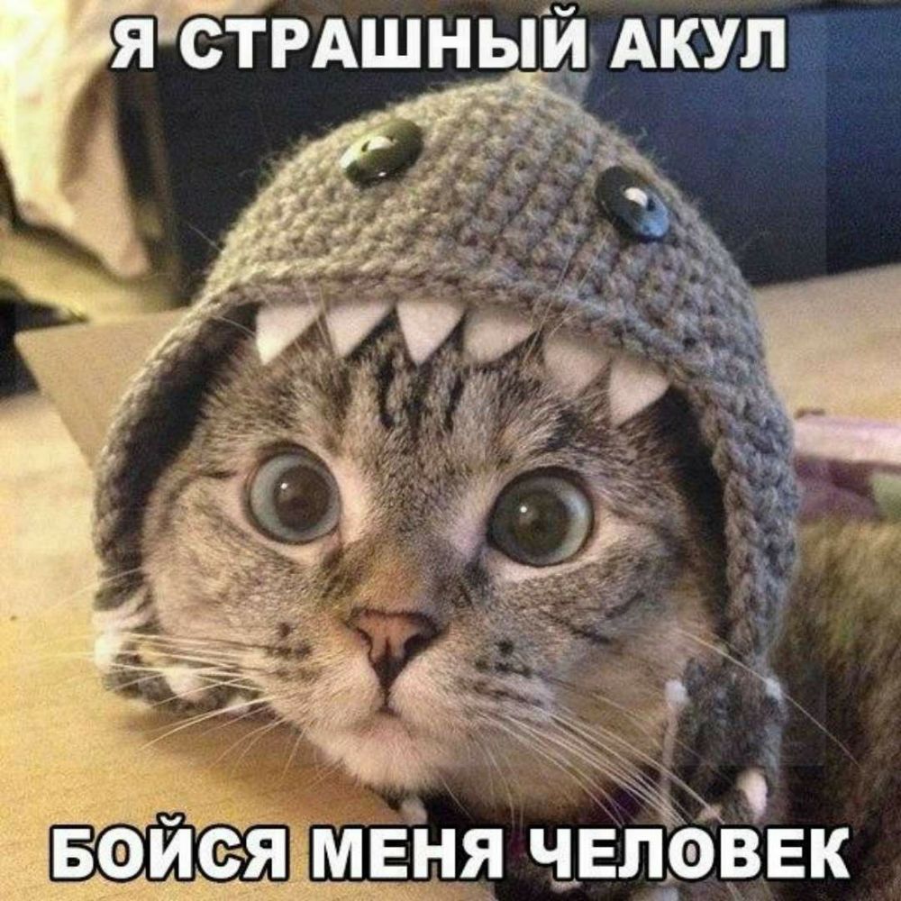 ны АКУЛ ъ Я СТРАШ