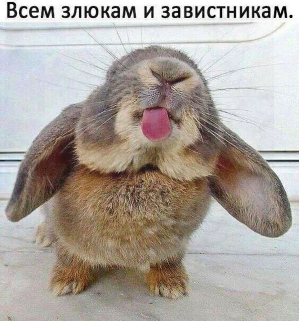 Всем злюкам и завистникам