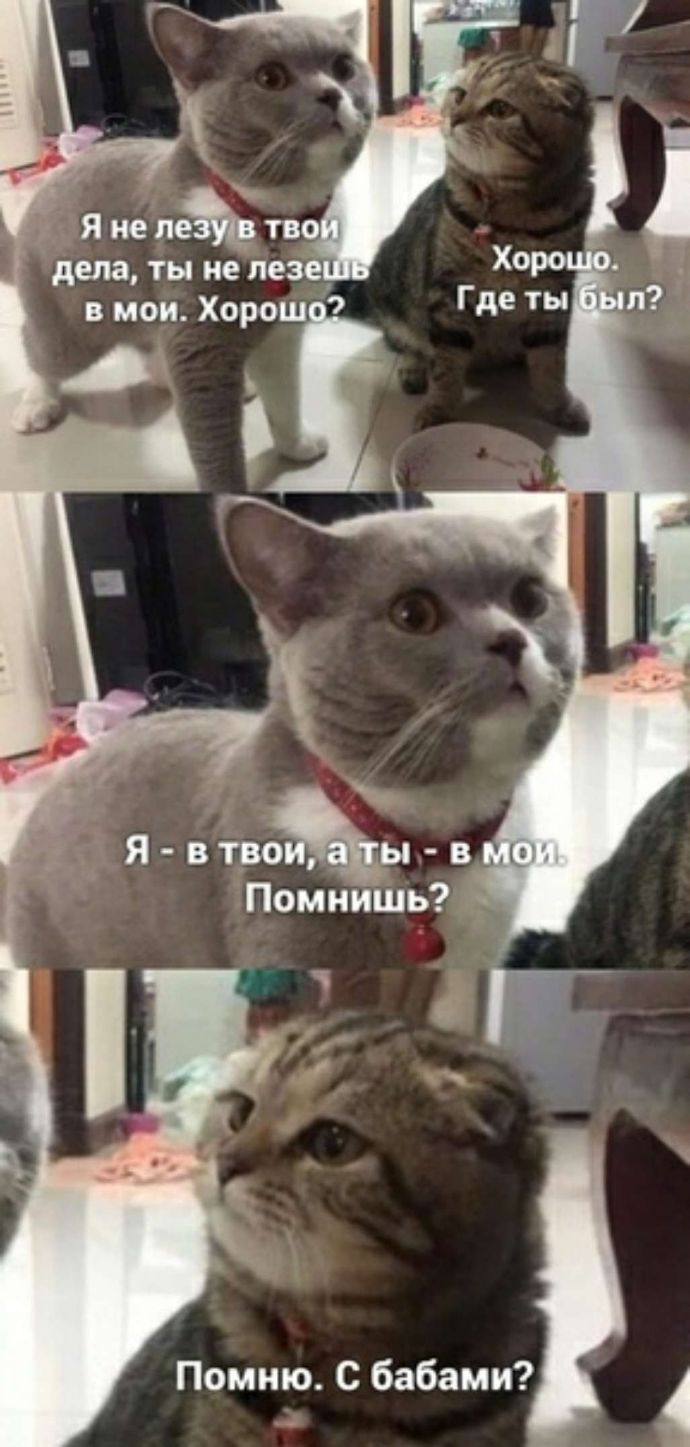 _ Я от тво дела ты не пезе_ в мои Хорош 7 Ё_ Я вдгв о ы в Помнишь Помню С бабами 4